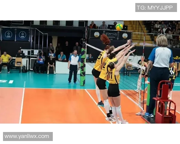 女排联赛精彩对决辽宁队迎战八一队全场视频回顾与精彩瞬间解析